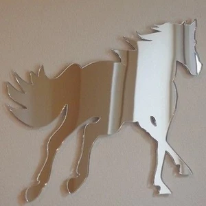 Cantering Shaped Acrylic Mirrors - Various Sizes - Picture 1 of 2