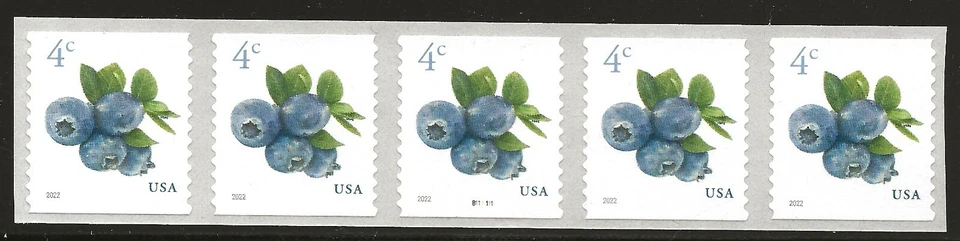 US Scott #5653, Plate #B111111 Coil 2022 Blueberries VF MNH - Image 1 of 1
