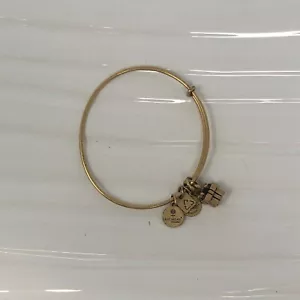Brazalete expandible caja de regalo Alex and Ani estar presente tono dorado dije - Imagen 1 de 4