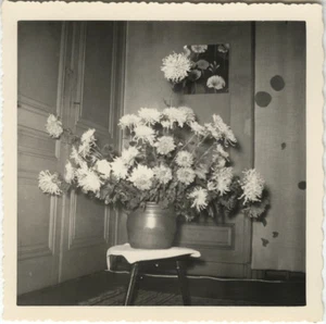 PHOTO ANCIENNE - VINTAGE SNAPSHOT - CURIOSITÉ BOUQUET FLEURS - FLOWERS - Imagen 1 de 1