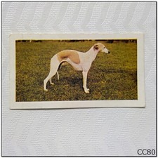 Horniman's Tea Card Dogs #8 Whippet (A) (CC80)
