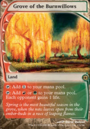 Grove of the Burnwillows Future Sight Moderately Played, S-Chinese - MTG - Image 1 of 1