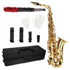 Standard mid range pitch E saxophone lacquer gold tube body carving...