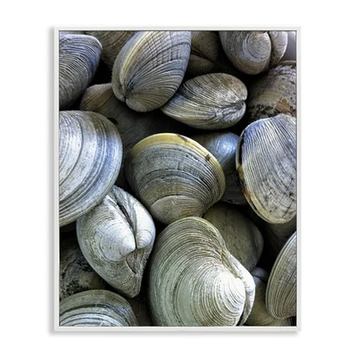 Pila de almejas marítimas blanco enmarcado diseño de arte de pared por Graffi*tee Studios... Foto 1 de 4