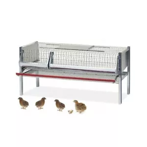 Gabbia x quaglie ovaiole mangiatoia e abbeveratoio Cm102x62x50h per 30/40 capi - Foto 1 di 4