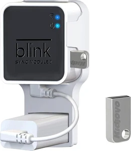 256GB USB Flash Drive and Outlet Wall Mount for Blink Sync Module 2 save Space - Picture 1 of 6