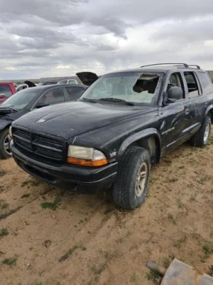 Bomba de dirección asistida usada se adapta a: Dodge Durango 1998 grado A Foto 1 de 4