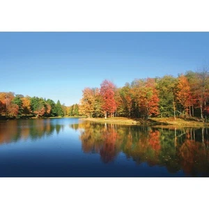 Fototapete-VLIES-WALDFLUSS-(C12113)-Tapete-Nach-Maß-See Wald Baum Landschaft XXL - Bild 1 von 6