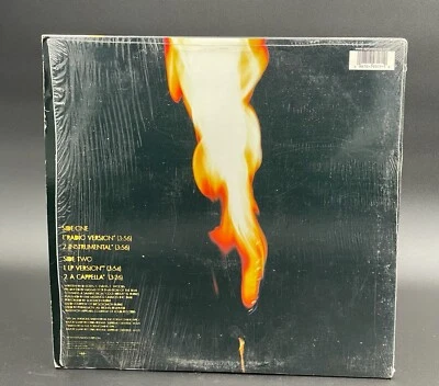 GFK APOLLO KIDS FT. RAEKWON 12" VINYL RECORD GHOSTFACE KILLAH VG+ SHRINK WU-TANG - Image 1 of 4