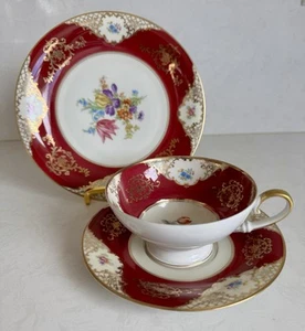 Juego de taza/platillo/plato de té con adornos dorados florales de porcelana Tirschenreuth Baviera - Imagen 1 de 9