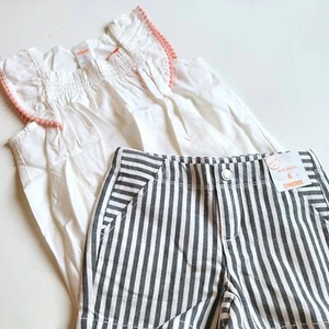 NWT Gymboree Girls 6 Animal Party Ruffled Smocked Top & Striped Twill Shorts Set - Picture 1 of 4