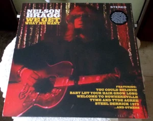 NELSON BRAGG - WE GET WHAT WE WANT BRIAN WILSON BAND MEMB RED VINYL YATC SLD LP - Picture 1 of 2