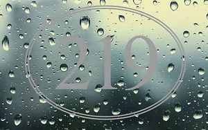 FROST ETCHED OVAL BORDER PERSONALISED DOOR NUMBERS,ETCHED FROST EFFECT GLASS NUM - Picture 1 of 5