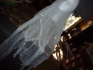 halloween hanging ghost;styrofoam female head.[MARTHA STEWART TUTORIAL] - Picture 1 of 4