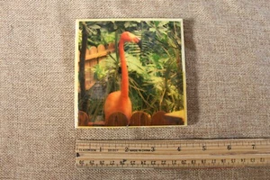 4,25 Zoll quadratischer Fliesenuntersetzer signiert West Ward rosa Flamingo Schmetterling Wintergarten - Bild 1 von 3