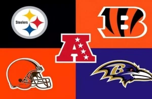 AFC North - Steelers Bengals Ravens Browns NFL CUSTOM MADE Players w/box - Picture 1 of 5