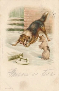 Motiv - Karte von zwei Hunden im Schnee Ansichtskarte (10377) - Imagen 1 de 2