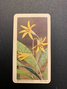 BROOKE BOND RED ROSE TEA CARDS - SERIES 3 - WILD FLOWERS OF NORTH AMERICA