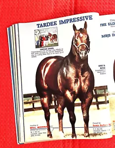 1990 QUARTER HORSE Journal, VINTAGE Magazine - SIR QUINCY DAN - ETERNAL FISTFUL - Foto 1 di 22