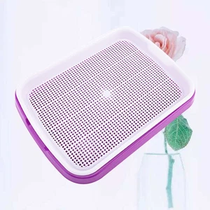 Tray Food Grade PP Material Soil Free Growing Tray for Wheatgrass 35x26x5 cm - Picture 1 of 11