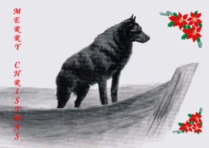 SCHIPPERKE SINGLE DOG PRINT GREETING CHRISTMAS CARD - Picture 1 of 1
