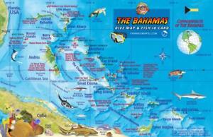 The Bahamas Map & Coral Reef Creatures Guide Waterproof Fish Card Franko Maps