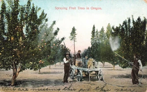 VINTAGE OREGON AGRICULTURAL POSTCARD SPRAYING FRUIT TREES 021622 R - Foto 1 di 2