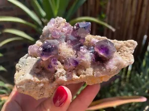 Cristales Chiredzi amatista Shangaan (Chibuku) en matriz 0,67 lb 4,78" - Imagen 1 de 11