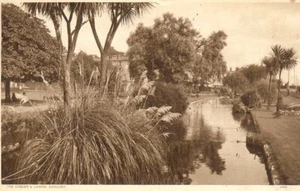 The Stream & Lawns, Dawlish - Posted 1952 - Photochrom, Tunbridge Wells - Picture 1 of 2