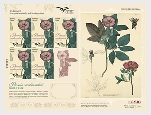 spain 2025 Euromed Pink flowers peony Paeonia Cambessedesii nature 6v mnh FULL - Picture 1 of 1