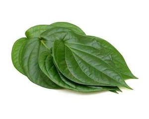 Dried Betel Leaves  100% Natural  Herbal Pure Organic Ceylon Whole Leaves - Picture 1 of 6
