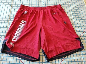 Arizona Cardinals Nike NFL Training Apparel Dri-Fit Athletic Shorts Men's L~ #13 - Picture 1 of 17