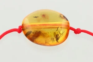 Fossil Insect BALTIC AMBER Unisex Red String Adjustable Bracelet 1g 241218-14 - Picture 1 of 6