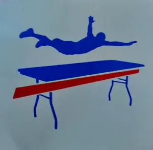 Buffalo Bills JOSH ALLEN STEFON DIGGS - ¡Pegatina de vinilo para romper mesa de facturas! - Imagen 1 de 1