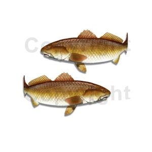 Redfish Sticker Decal Fishing RV Boat Car Truck Camper Trailer F055 2 Pack - Bild 1 von 1