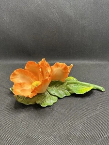 Statuina Fabar Capodimonte porcellana ibisco arancione fiore su stelo Italia LEGGI - Foto 1 di 14