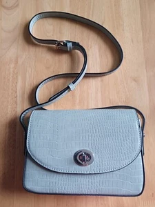 Womens Handbag Accessorize Sage Green - Picture 1 of 3