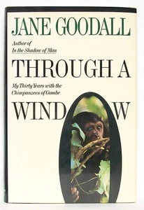 Jane Goodall—THROUGH A WINDOW—Houghton Mifflin Co—1990—1st Am. Ed., 1st printing - Foto 1 di 6