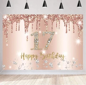 Happy 17th Birthday rations Backdrop Banner for Girls Happy 17 Years Old Sign - Picture 1 of 4