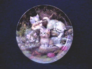 BRADFORD EXCHANGE Kitten Expeditions, KITTY PLATE #1 - Bild 1 von 2