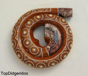 Compact Spiral Digeridoo+Bag Swirl SnaiL Hand-Carved Painted Didgeridu/Dijeridoo - Picture 1 of 12