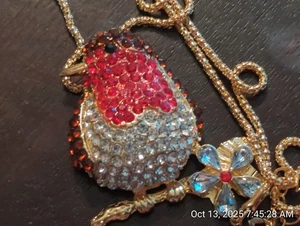Collana Betsey Johnson Robin seno rosso - Foto 1 di 2