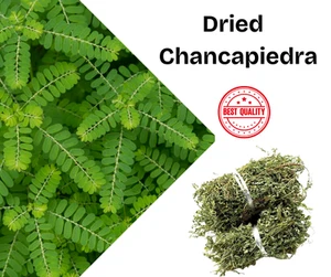 Chanca piedra essiccata - Phyllanthus niruri Piante di erbe rompipietre - Foto 1 di 6