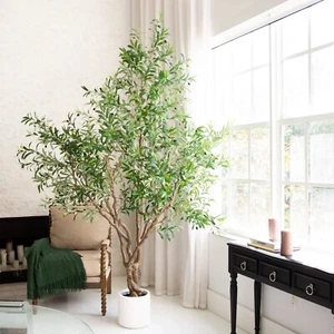 8’ Artificial Grand Olive Tree in White Decorative Planter. Retail $524 - Picture 1 of 7