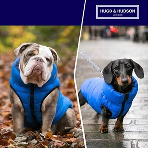 DOG COAT HUGO & HUDSON Blue & Navy DOG PUFFER VEST JACKET Small 30cm NEW WINTER - Picture 1 of 5