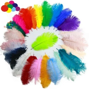 30 color Ostrich feathers 15-20 cm decoration starry wedding mask handmade DIY - Picture 1 of 38