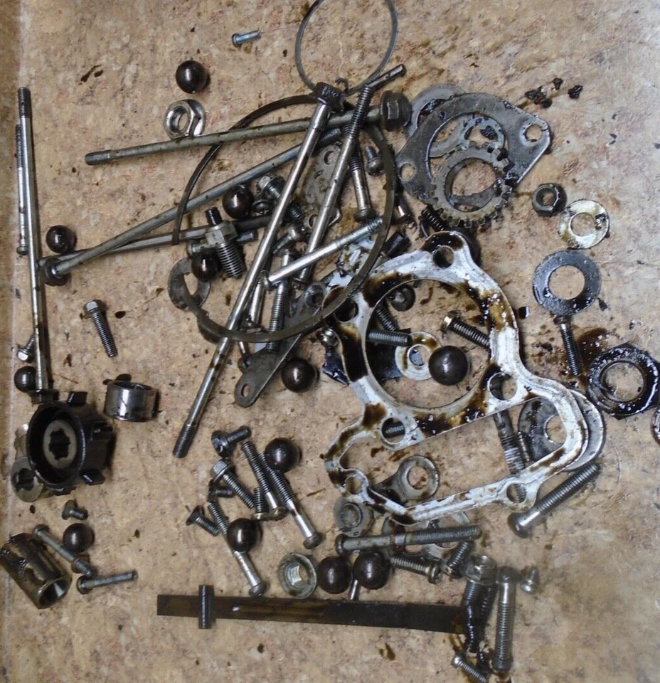1989 Yamaha  ATV YFM100 YFM 100 Champ Engine Motor Nuts Bolts Parts Hardware Lot Foto 1 de 1