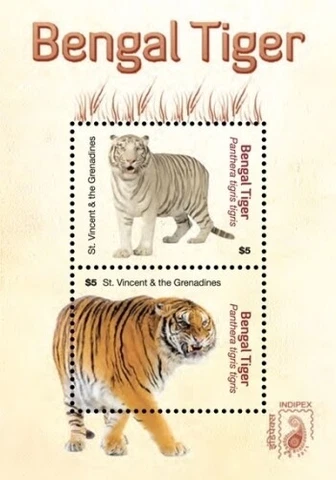 St. Vincent 2011 - INDIPEX - Bengal Tigers - Souvenir Sheet Stamp Scott 3751 MNH Cover