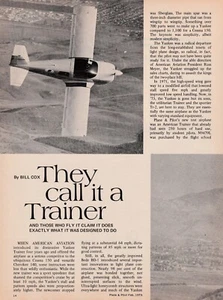 American Aviation Trainer Aircraft Report 8/9/2024ff - Picture 1 of 1