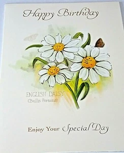 Birthday Card. English Daisy Theme. Nature's Notebook Range. - Picture 1 of 5